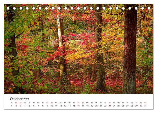 Produktbild: Naturwunder Stettiner Haff (Tischkalender 2027 DIN A5 quer), CALVENDO Monatskalender