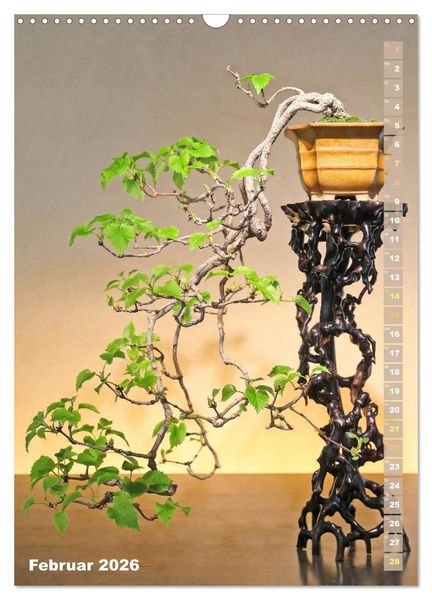 Produktbild: Bonsai: Gartenkunst im Kleinen (Wandkalender 2026 DIN A3 hoch), CALVENDO Monatskalender