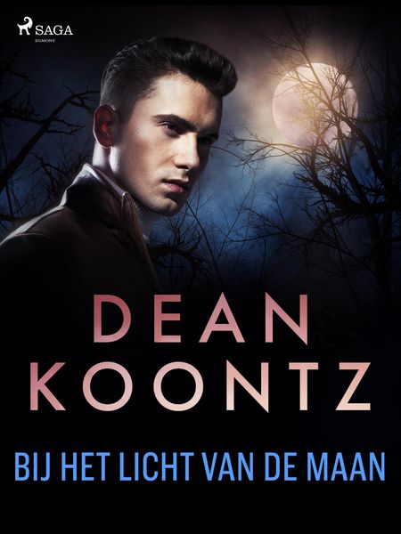 Produktbild: Bij het licht van de maan