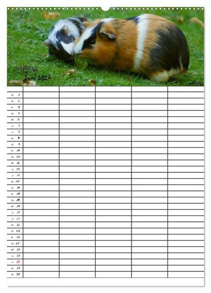 Produktbild: Meerschweinchen und Kaninchen Familienplaner (hochwertiger Premium Wandkalender 2026 DIN A2 hoch), Kunstdruck in Hochglanz