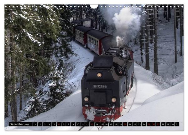 Produktbild: Schmalspurbahnen in Sachsen Anhalt (Wandkalender 2026 DIN A3 quer), CALVENDO Monatskalender