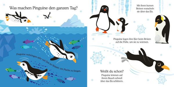 Produktbild: Gl&uuml;cksfisch: Wei&szlig;t du, was die Tiere machen? Kleiner Pinguin
