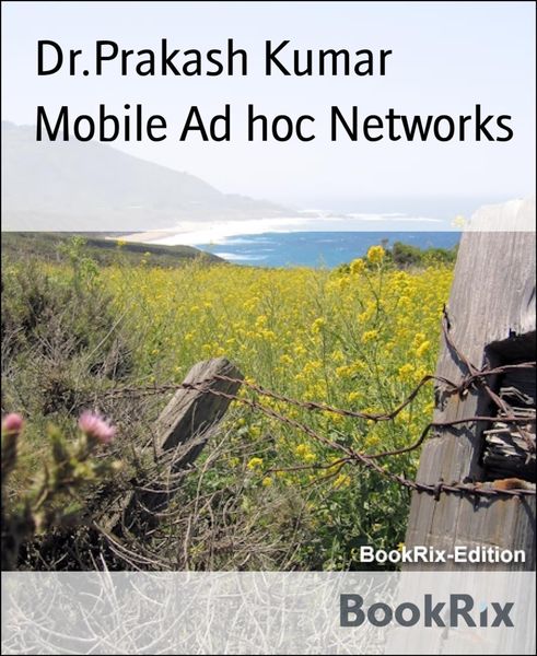 Produktbild: Mobile Ad hoc Networks