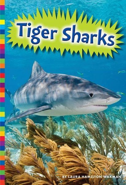 Produktbild: Tiger Sharks