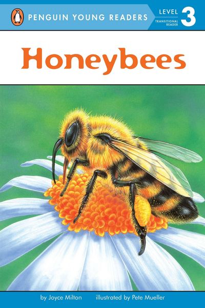 Produktbild: Honeybees