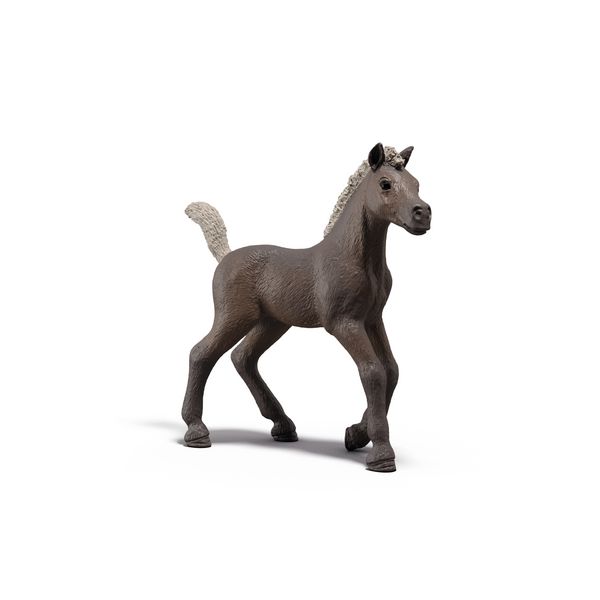 Produktbild: schleich&reg; 81460 Darcy, Sammelfohlen mit Sammelposter, Series 1