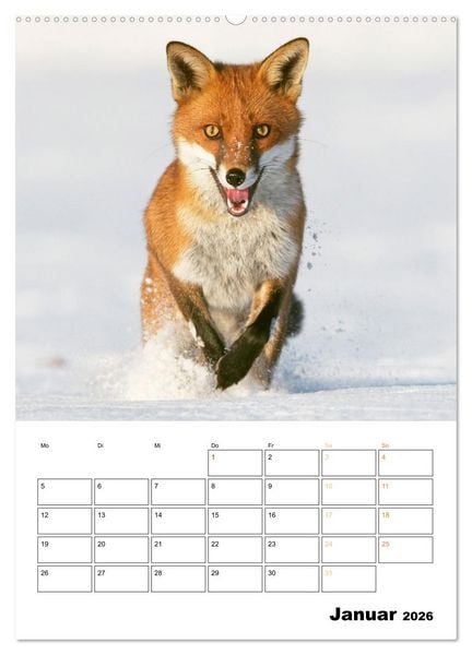 Produktbild: Wilde Tiere: Zuhause in Wald und Flur (hochwertiger Premium Wandkalender 2026 DIN A2 hoch), Kunstdruck in Hochglanz