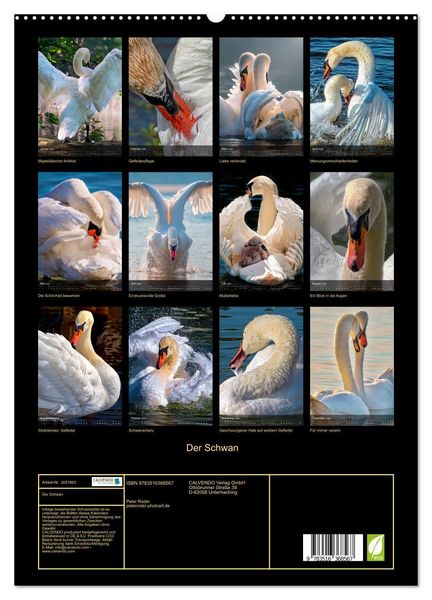Produktbild: Der Schwan (hochwertiger Premium Wandkalender 2026 DIN A2 hoch), Kunstdruck in Hochglanz