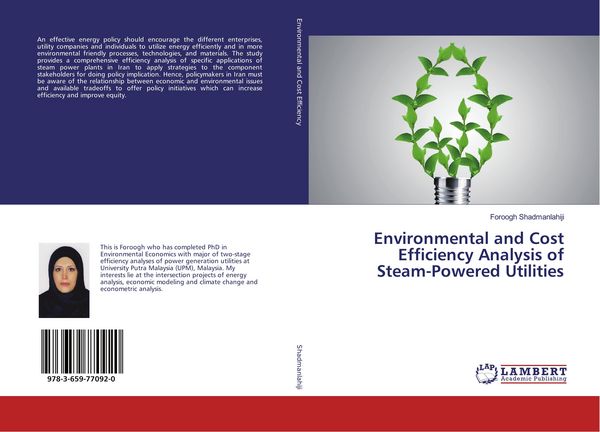 Produktbild: Environmental and Cost Efficiency Analysis of Steam-Powered Utilities