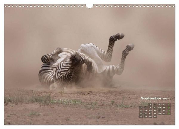 Produktbild: WILDE TIERE IN AKTION (Wandkalender 2027 DIN A3 quer), CALVENDO Monatskalender