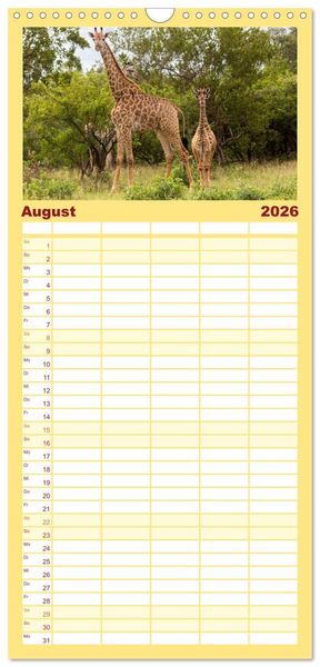 Produktbild: Familienplaner 2026 - Afrikas Tierwelt: Giraffen mit 5 Spalten (Wandkalender, 21 x 45 cm) CALVENDO