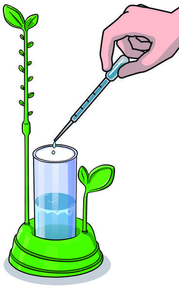Produktbild: Erkunde die Botanik und Hydrokultur (Experimentierkasten)