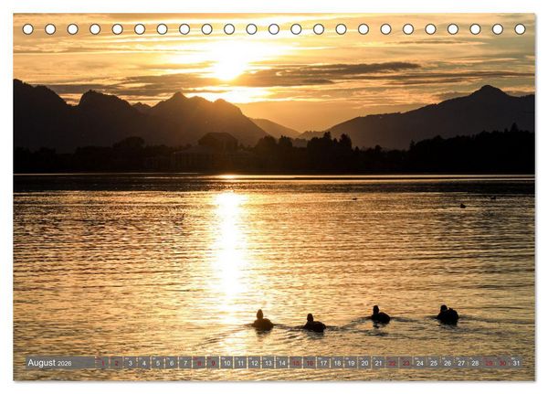 Produktbild: Ostallg&auml;u - Zwischen Aggenstein und Forggensee (Tischkalender 2026 DIN A5 quer), CALVENDO Monatskalender