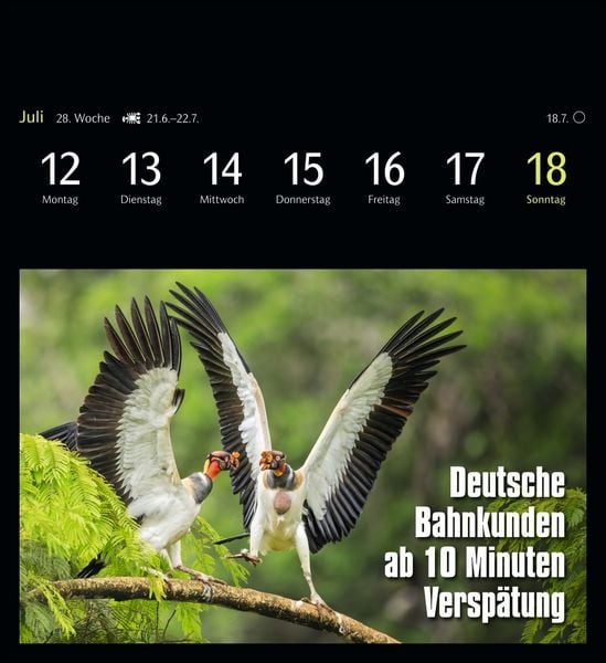 Produktbild: Animal Memes Postkartenkalender 2027 - 53 tierisch witzige Postkarten