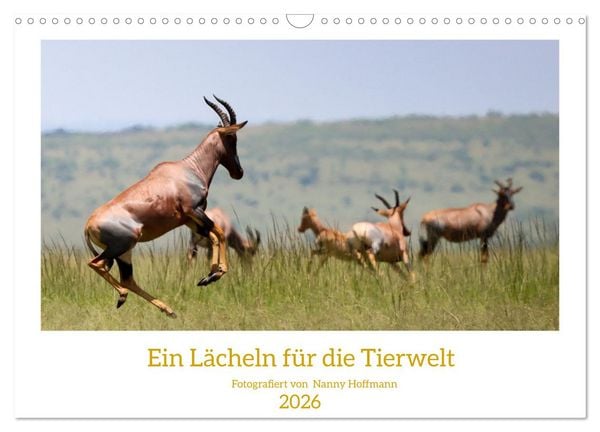 Produktbild: Ein L&auml;cheln f&uuml;r die Tierwelt (Wandkalender 2026 DIN A3 quer), CALVENDO Monatskalender