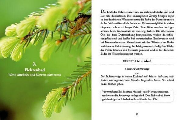 Produktbild: Das gro&szlig;e kleine Buch: Vergessene Hausmittel