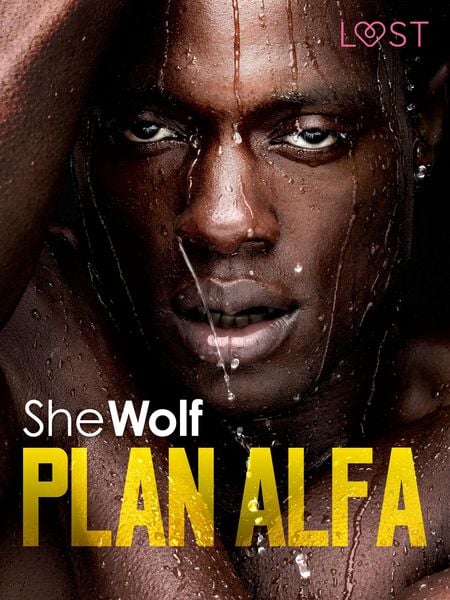 Produktbild: Plan Alfa - opowiadanie erotyczne