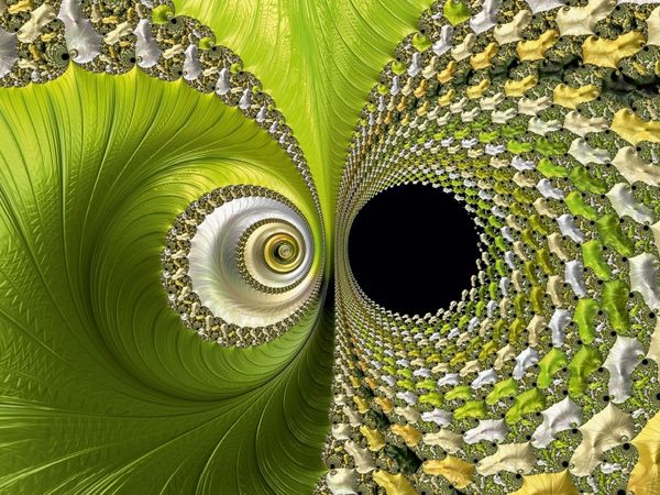 Produktbild: CALVENDO Puzzle Die gr&uuml;ne Bl&uuml;te | 1000 Teile Lege-Gr&ouml;&szlig;e 64x48cm Foto-Puzzle f&uuml;r gl&uuml;ckliche Stunden