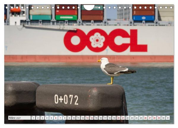 Produktbild: JadeWeserPort Wilhelmshaven &ndash; Maritime Perspektiven am Containerhafen (Wandkalender 2027 DIN A4 quer), CALVENDO Monatskalender