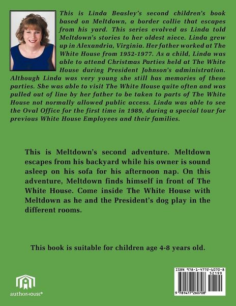 Produktbild: Meltdown's Next Adventure