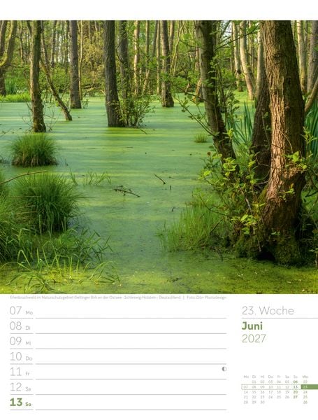 Produktbild: Unser Wald Wochenplaner Kalender 2027