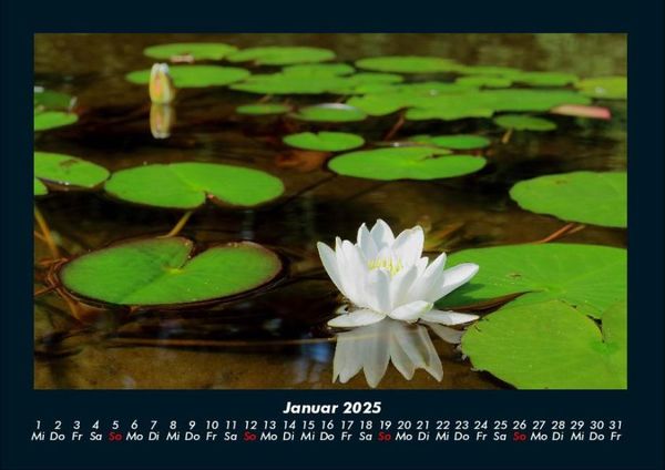 Produktbild: Tag am See 2025 Fotokalender DIN A4