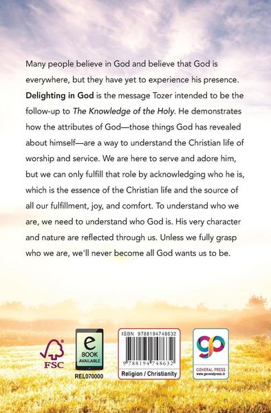 Produktbild: Delighting in God