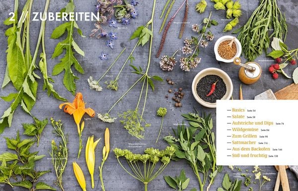 Produktbild: Wildkräuter – Bestimmen, Sammeln, Zubereiten