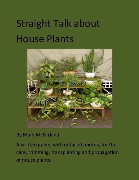 Produktbild: Straight Talk about House Plants