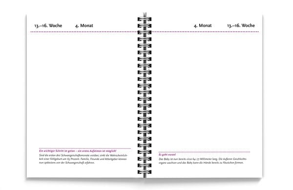 Produktbild: Tagebuch meiner Schwangerschaft
