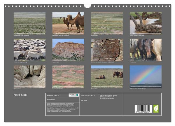 Produktbild: Nord-Gobi (Wandkalender 2026 DIN A3 quer), CALVENDO Monatskalender