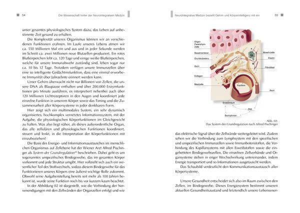 Produktbild: NeuroIntegrative Medizin: Durch k&ouml;rpereigene Intelligenz die Selbstheilungskr&auml;fte aktivieren