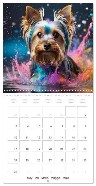Produktbild: Colourful Splash Dogs (Wall Calendar 2027 12 &times; 12 Inch) CALVENDO 12 Month Wall Calendar