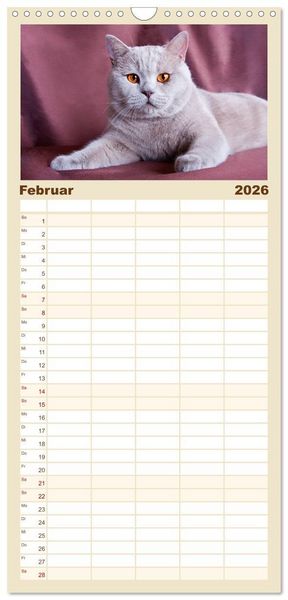 Produktbild: Familienplaner 2026 - Britisch Kurzhaar Katzen mit 5 Spalten (Wandkalender, 21 x 45 cm) CALVENDO