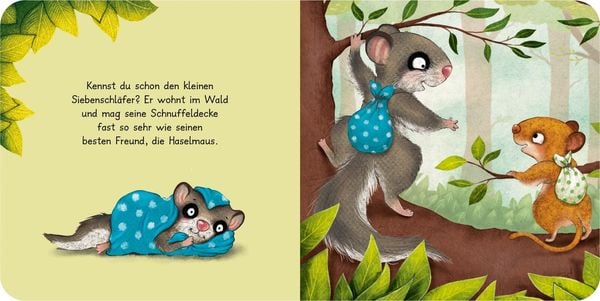 Produktbild: Der kleine Siebenschl&auml;fer: Mein liebstes W&uuml;rfelpuzzle
