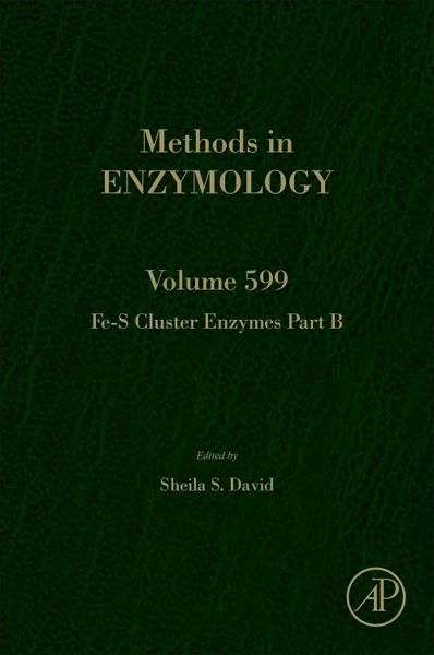 Produktbild: Fe-S Cluster Enzymes Part B