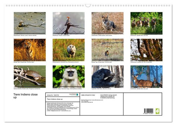 Produktbild: Tiere Indiens close up (Wandkalender 2026 DIN A2 quer), CALVENDO Monatskalender