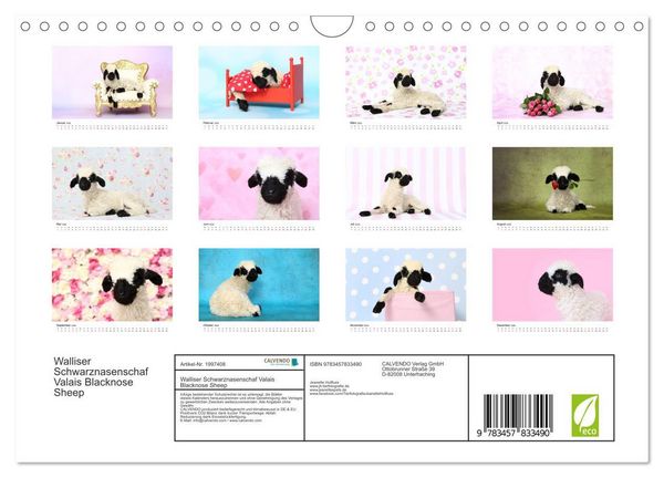 Produktbild: Walliser Schwarznasenschaf Valais Blacknose Sheep (Wandkalender 2026 DIN A4 quer), CALVENDO Monatskalender