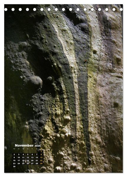 Produktbild: Zauberb&auml;ume (Tischkalender 2026 DIN A5 hoch), CALVENDO Monatskalender