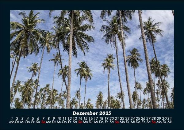 Produktbild: Palmentraum 2025 Fotokalender DIN A5