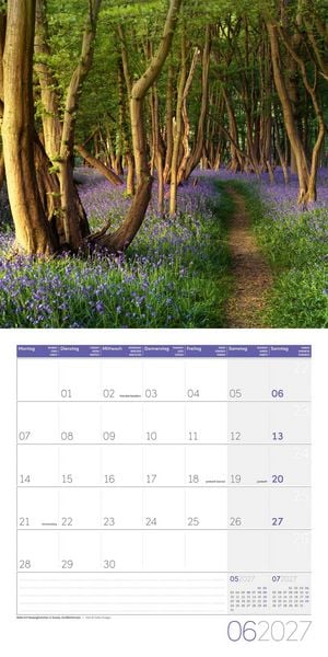 Produktbild: Zauber des Waldes Kalender 2027 - 30x30 - Art12
