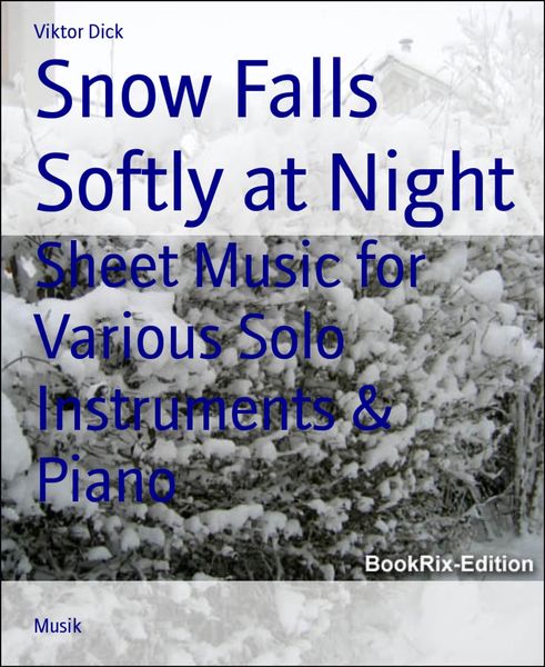 Produktbild: Snow Falls Softly at Night