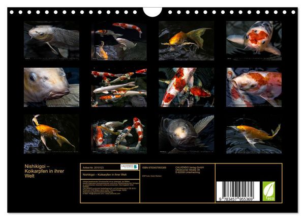Produktbild: Nishikigoi &ndash; Koikarpfen in ihrer Welt (Wandkalender 2026 DIN A4 quer), CALVENDO Monatskalender