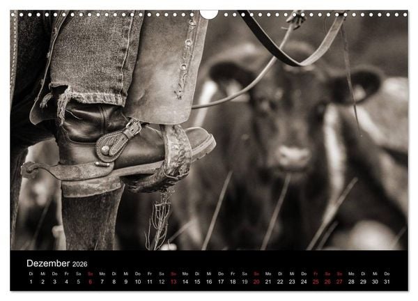 Produktbild: Westernreiten (Wandkalender 2026 DIN A3 quer), CALVENDO Monatskalender