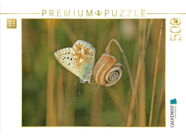 CALVENDO Puzzle Westliche Heideschnecke (Helicella itala) mit Silbergrünem Bläuling (Polyommatus coridon) | 500 Teile Lege-Größe 48 × 36 cm Foto-Puzzle für Erwachsene