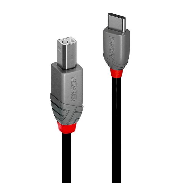 LINDY USB-Kabel USB 2.0 USB-C Stecker, USB-B Stecker 1.00m Schwarz 36941