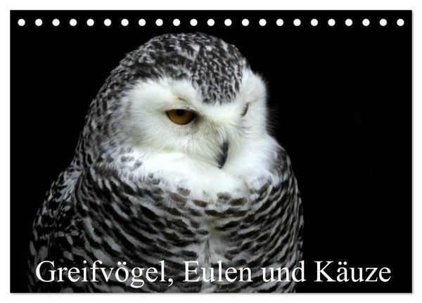 Produktbild: Greifv&ouml;gel, Eulen und K&auml;uze (Tischkalender 2026 DIN A5 quer), CALVENDO Monatskalender