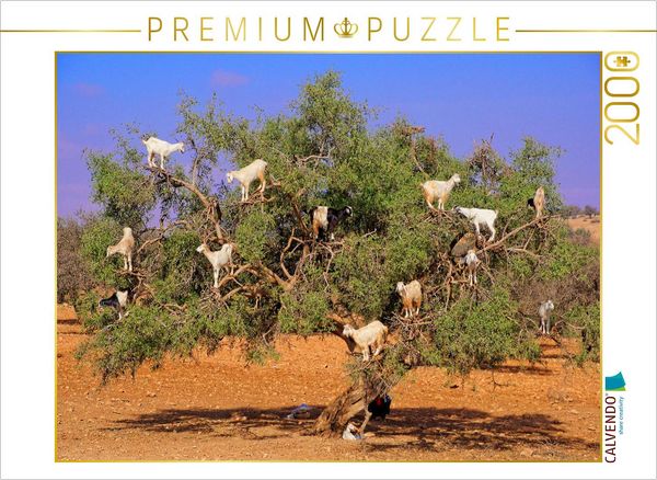 Produktbild: CALVENDO Puzzle Ziegen auf Argan-Baum, bei Rabat/Marokko | 2000 Teile Lege-Gr&ouml;&szlig;e 90x67cm Foto-Puzzle f&uuml;r gl&uuml;ckliche Stunden