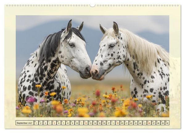 Produktbild: Knabstrupper Poesie. Gescheckte Eleganz im Farmsommer (Wandkalender 2027 DIN A2 quer), CALVENDO Monatskalender