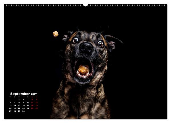 Produktbild: Leckerchen! (Wandkalender 2027 DIN A2 quer), CALVENDO Monatskalender